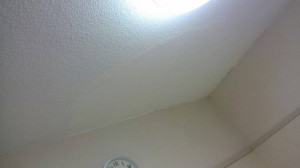 110翠ヶ丘ハイツ 屋上防水_7151