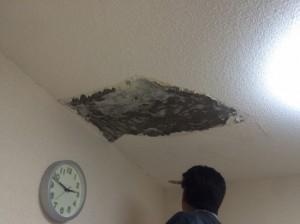 1130翠ケ丘ハイツ 屋上漏水調査_7629